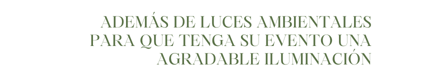 Además de luces ambientales para que tenga su evento una agradable iluminación